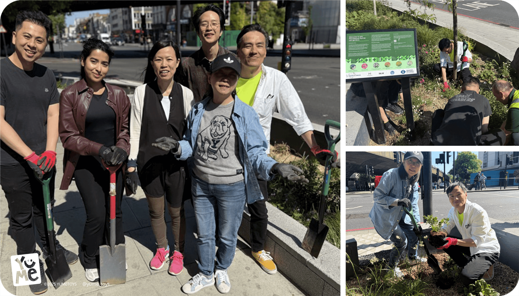 YuMe’s volunteering green fingers